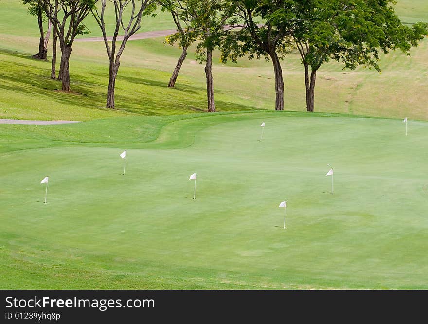 A manicured practice green in a tropical golf course. A manicured practice green in a tropical golf course