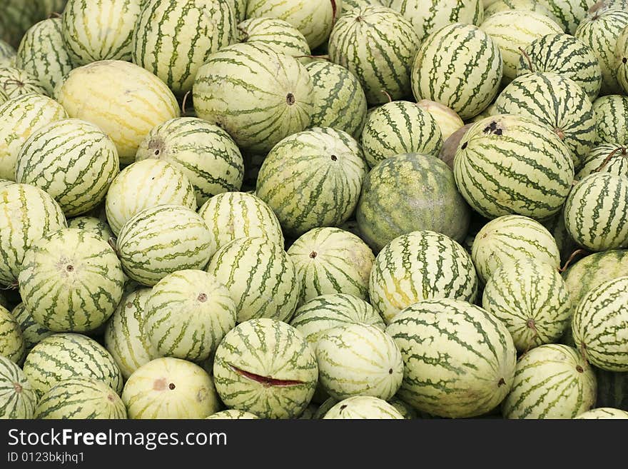 A lot of streaked rot melons. A lot of streaked rot melons