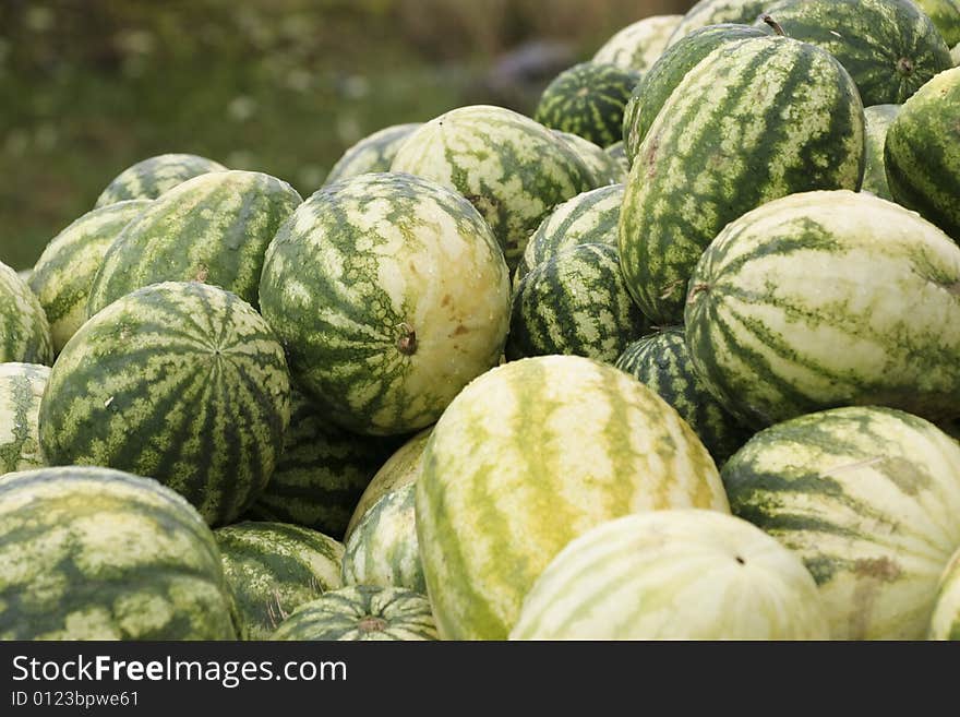 Melons