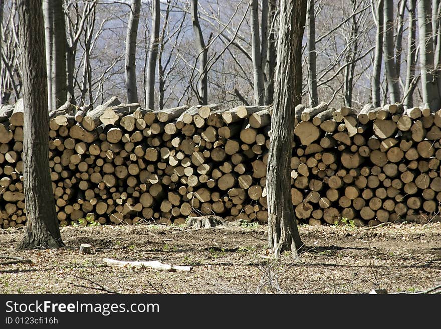 Stack of logs