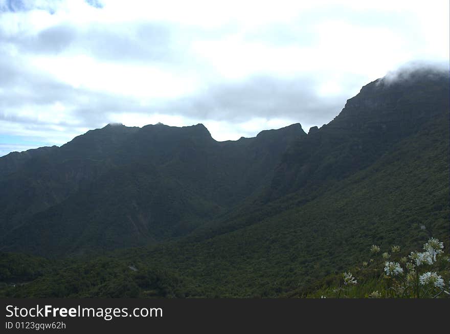 It's amazing the green landscape of Madeira and its changing climate. It's amazing the green landscape of Madeira and its changing climate.