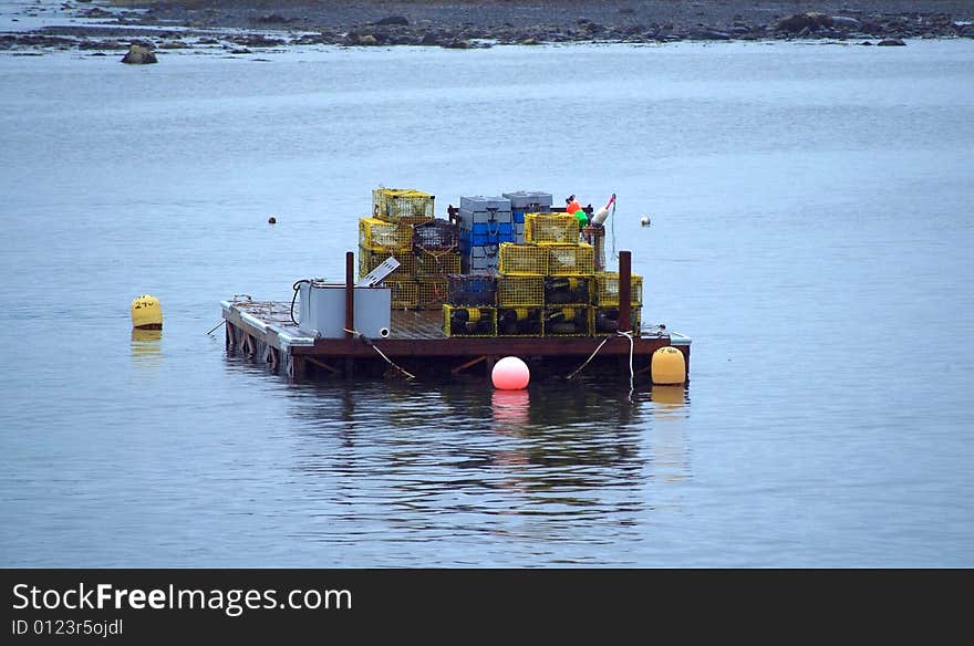 Lobster Traps