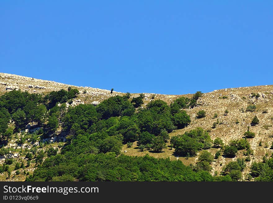 Abruzzo Mountain detail