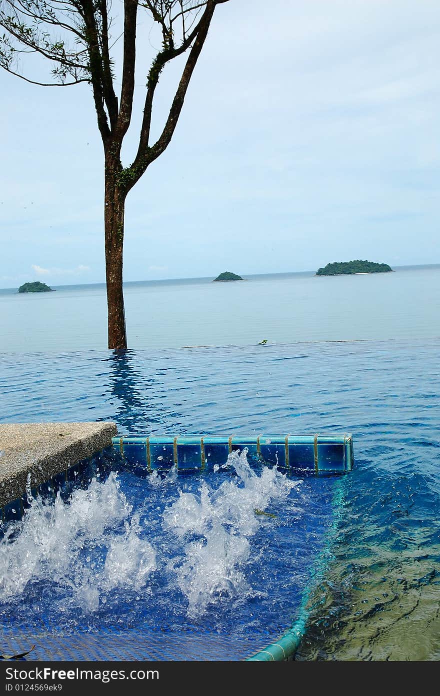 Jacuzzi and tree near spa pool. Jacuzzi and tree near spa pool