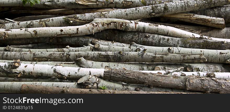 Stacked Birch logs background texture. Stacked Birch logs background texture