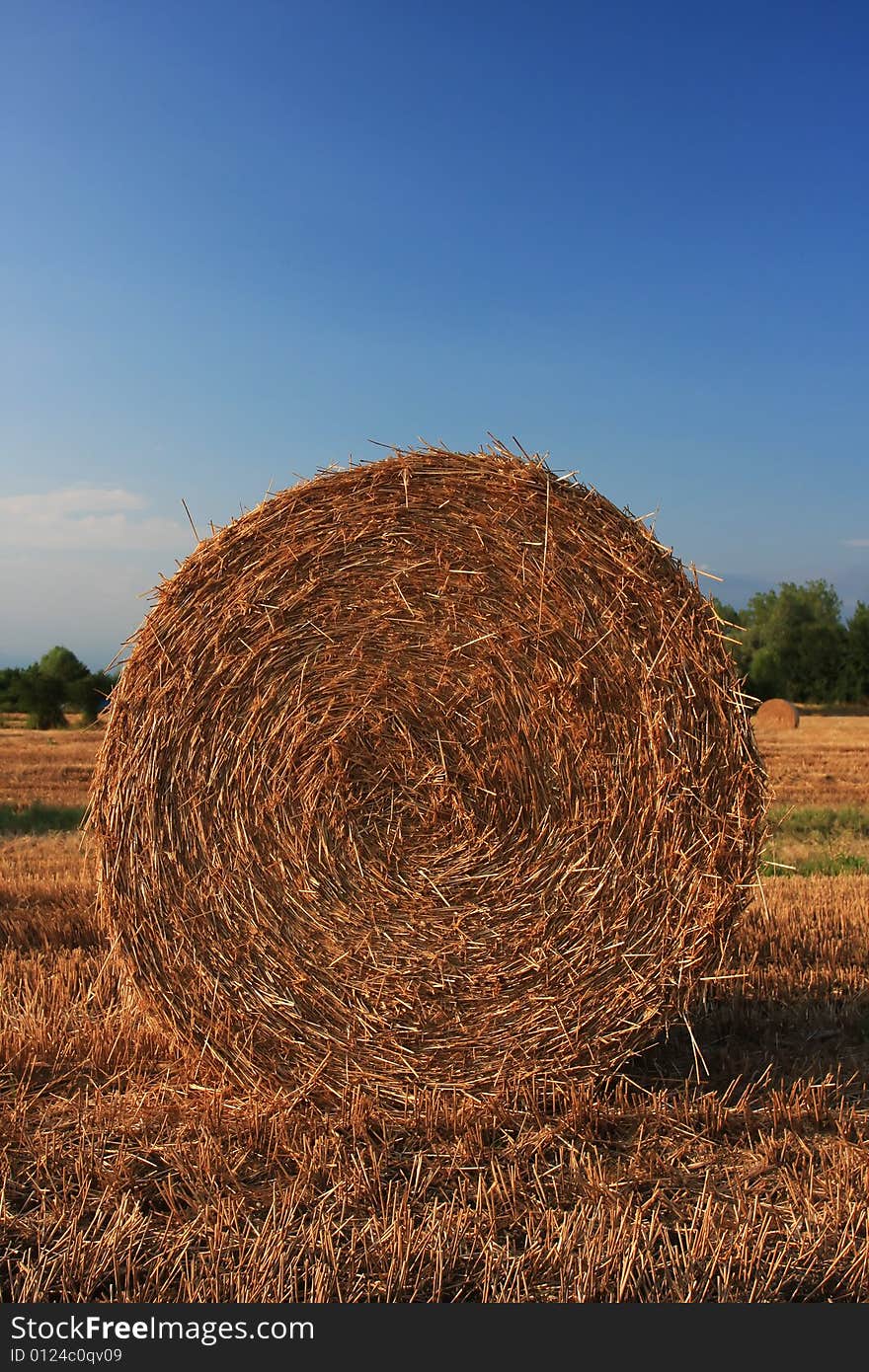 A close up of a hay bale on a corn field in Europe, shot in the warm afternoon sun, great warm feel to the image