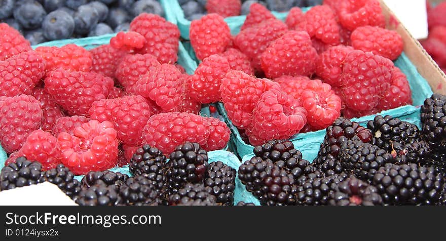 Raspberries and Blackberries