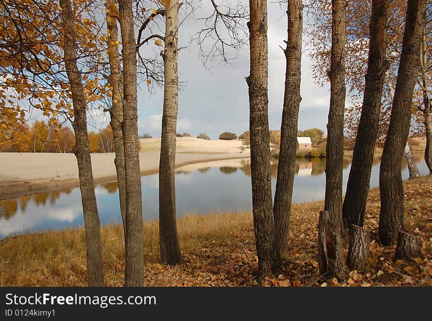 Lake tree buautiful lake from south of china (Princess Lake)