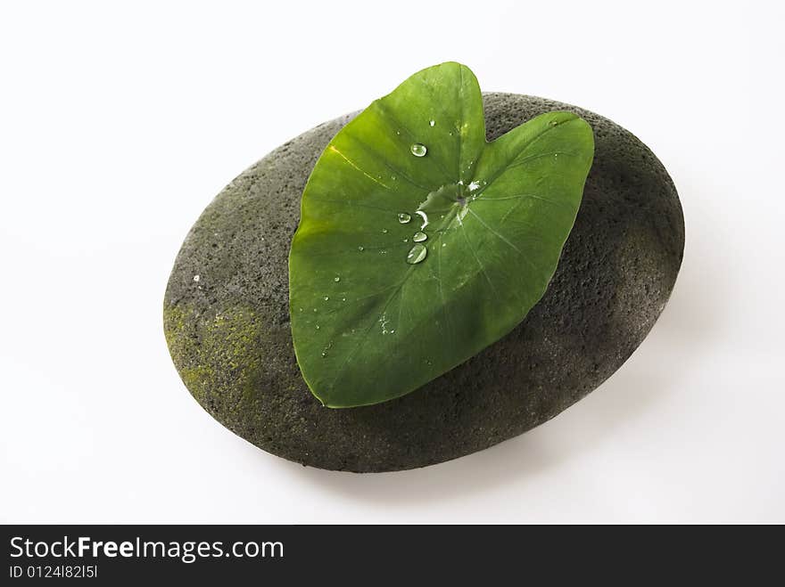 Water droplets on big leaf. Water droplets on big leaf