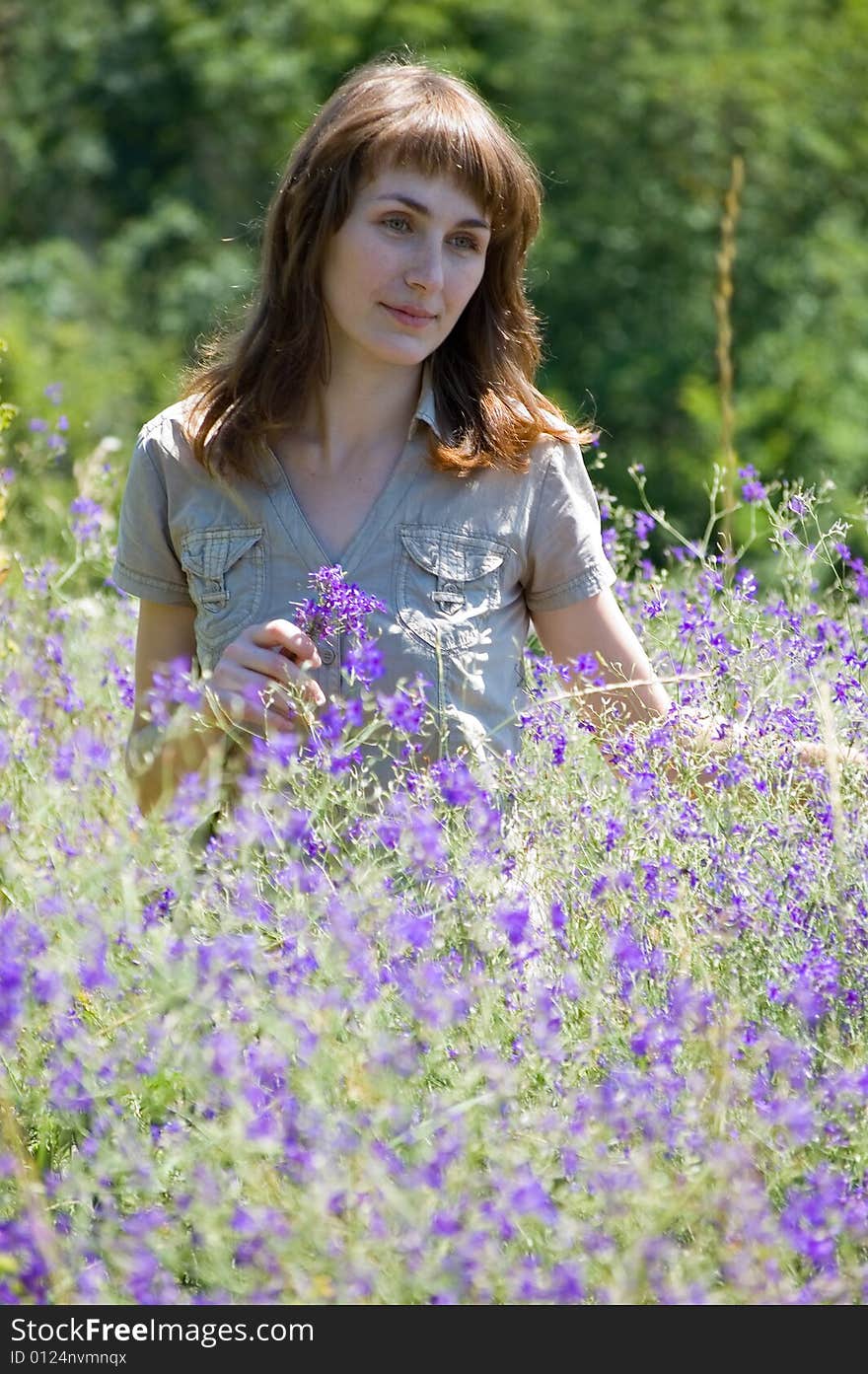 The girl collects wild flowers