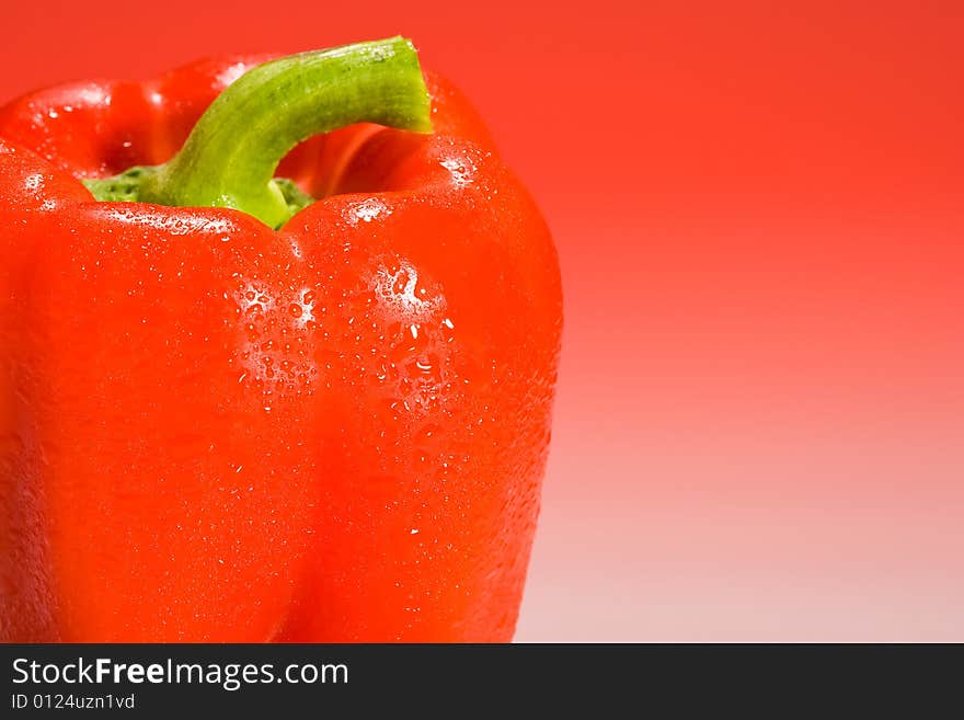 Red Bell Pepper on red gradient background