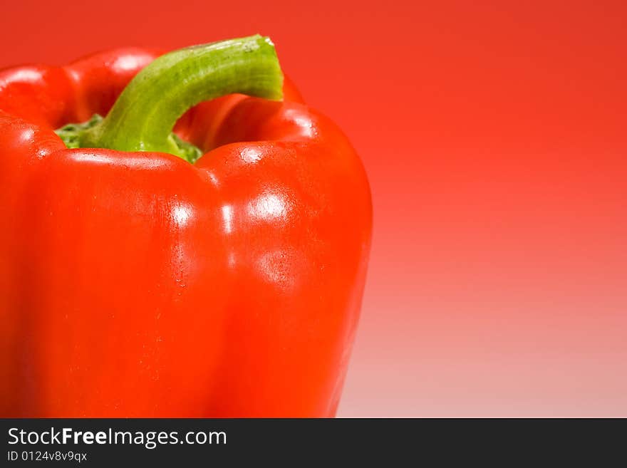 Red Bell Pepper on red gradient background