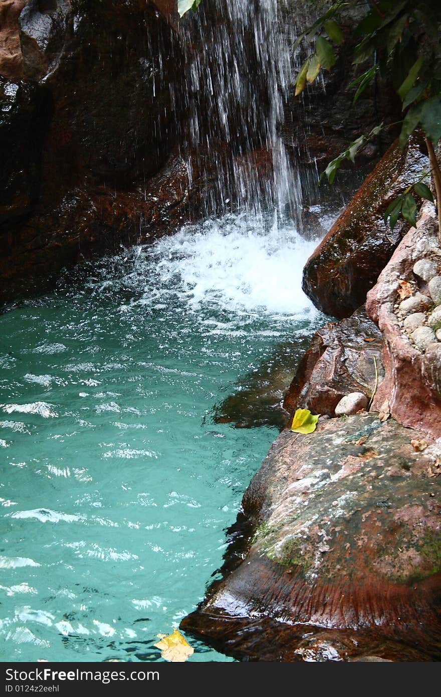 Rain Forest Waterfall