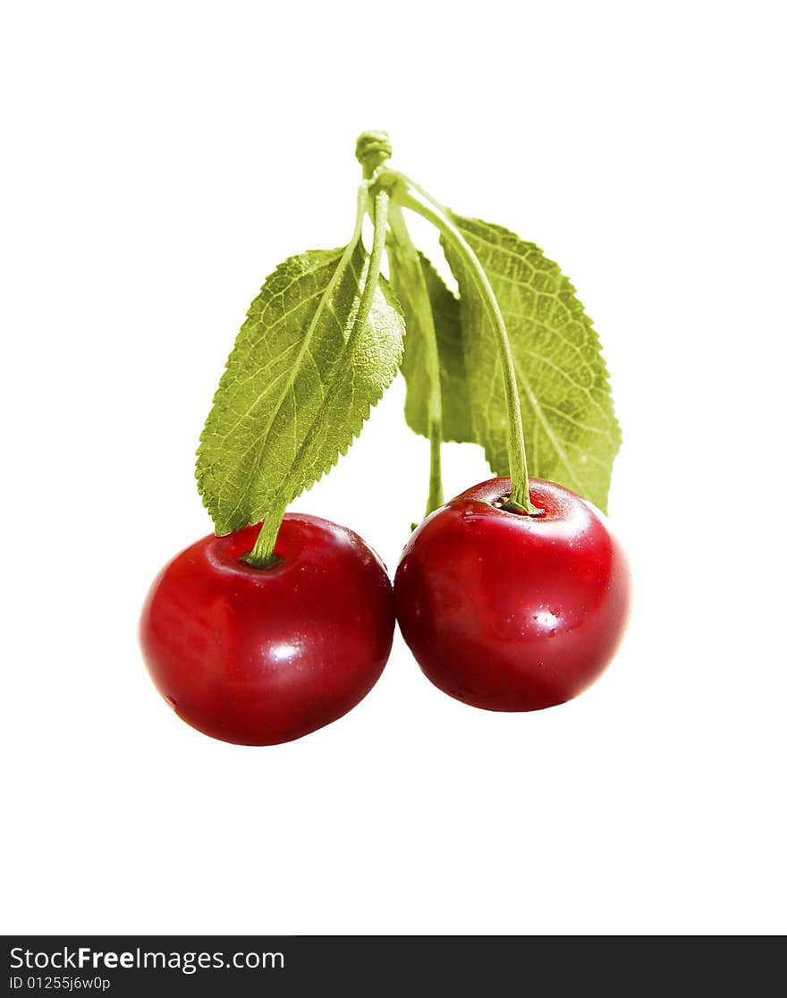 Two red sweet cherries isolated on white background. Two red sweet cherries isolated on white background