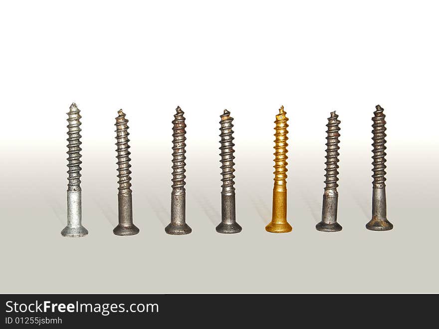 One gold screw among set metal screws. One gold screw among set metal screws.