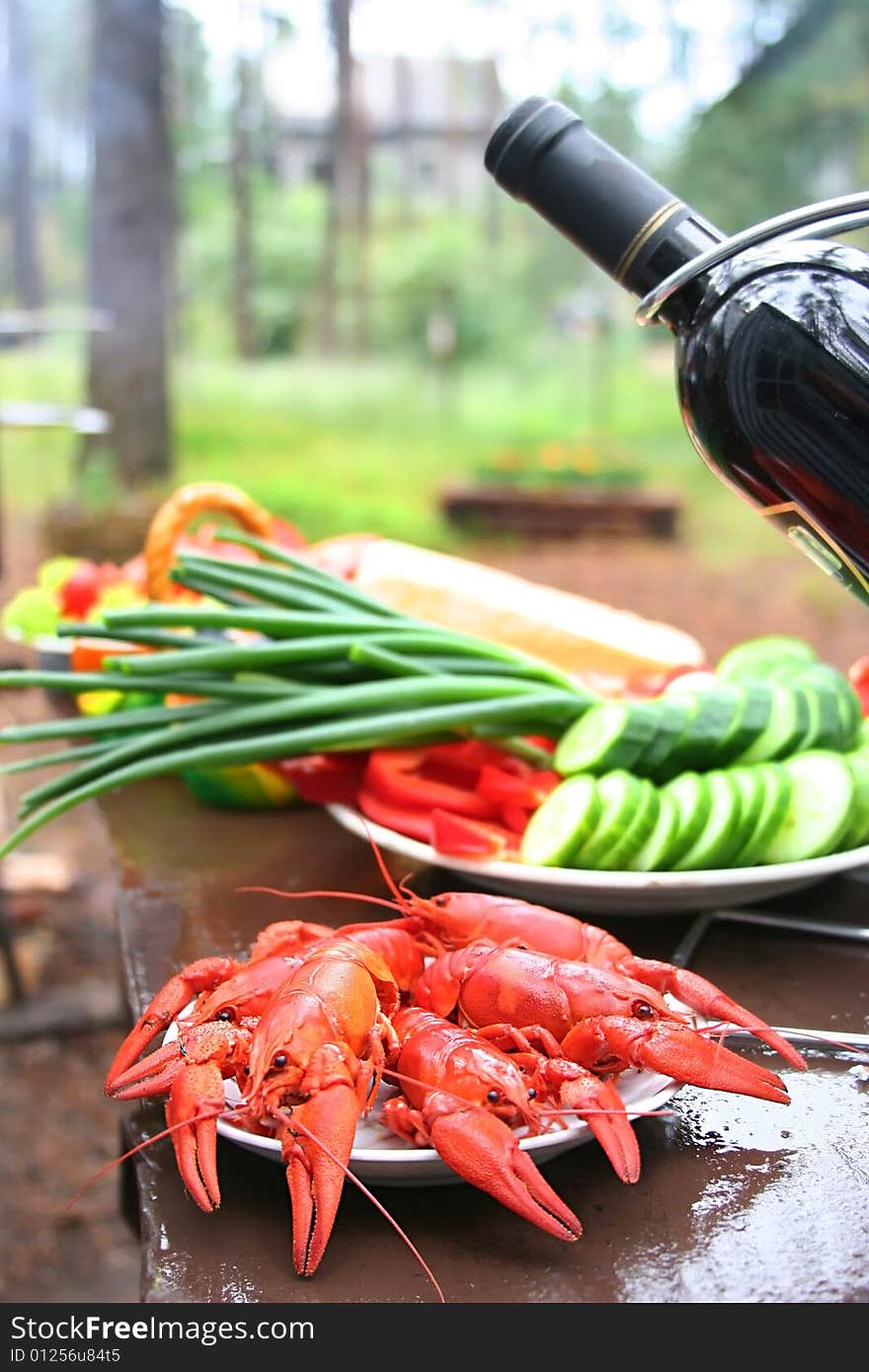 Battle of wine and food for picnic. Battle of wine and food for picnic