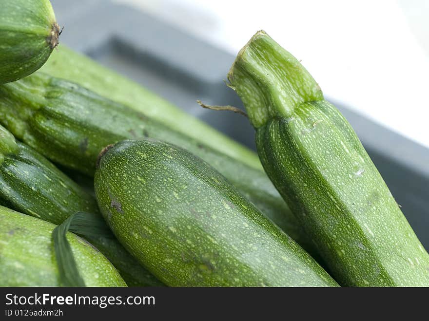 Several pale green zucchini in a gray crate. Several pale green zucchini in a gray crate.