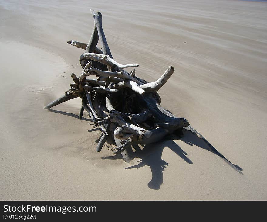 Mangled drift wood on pale sandy beach. Mangled drift wood on pale sandy beach