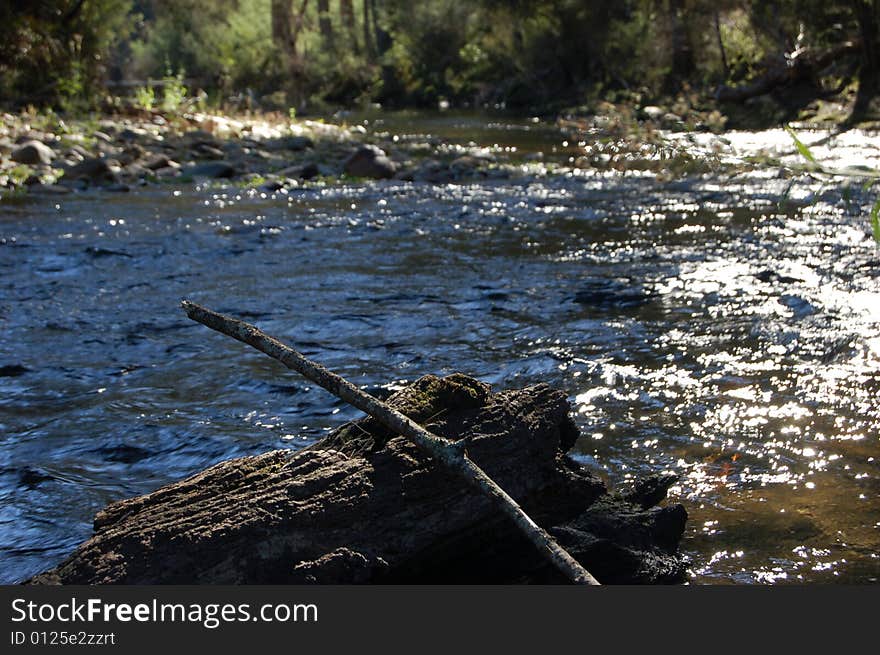 Flea Creek in the Brindabella Ranges