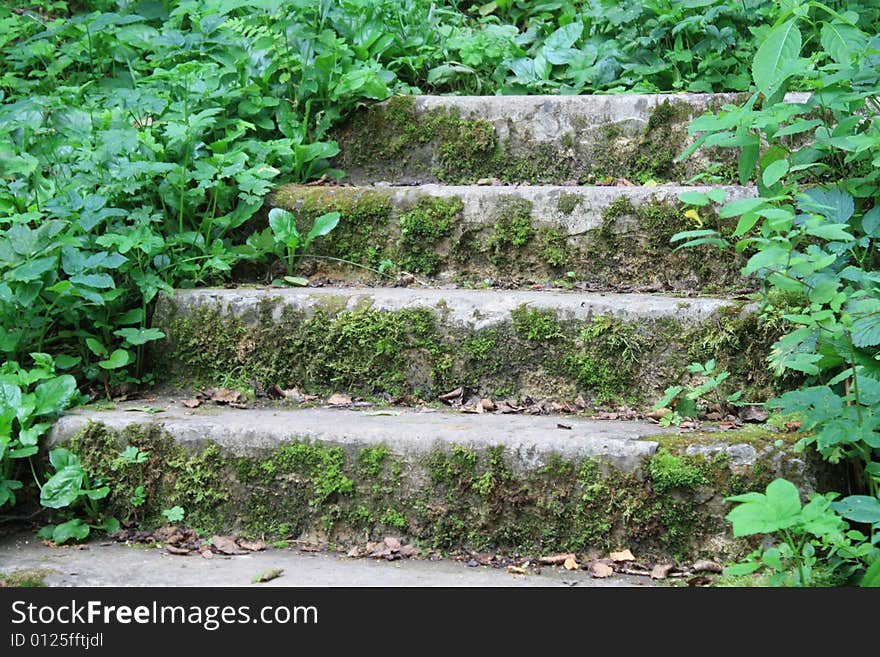 The old stairs leading to a wood stream