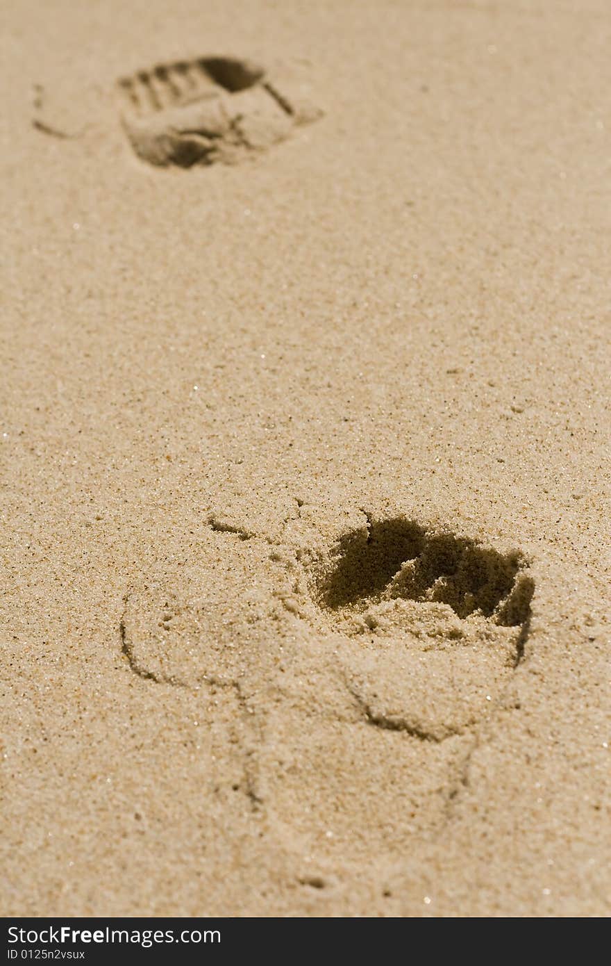 Footprints On The Sand