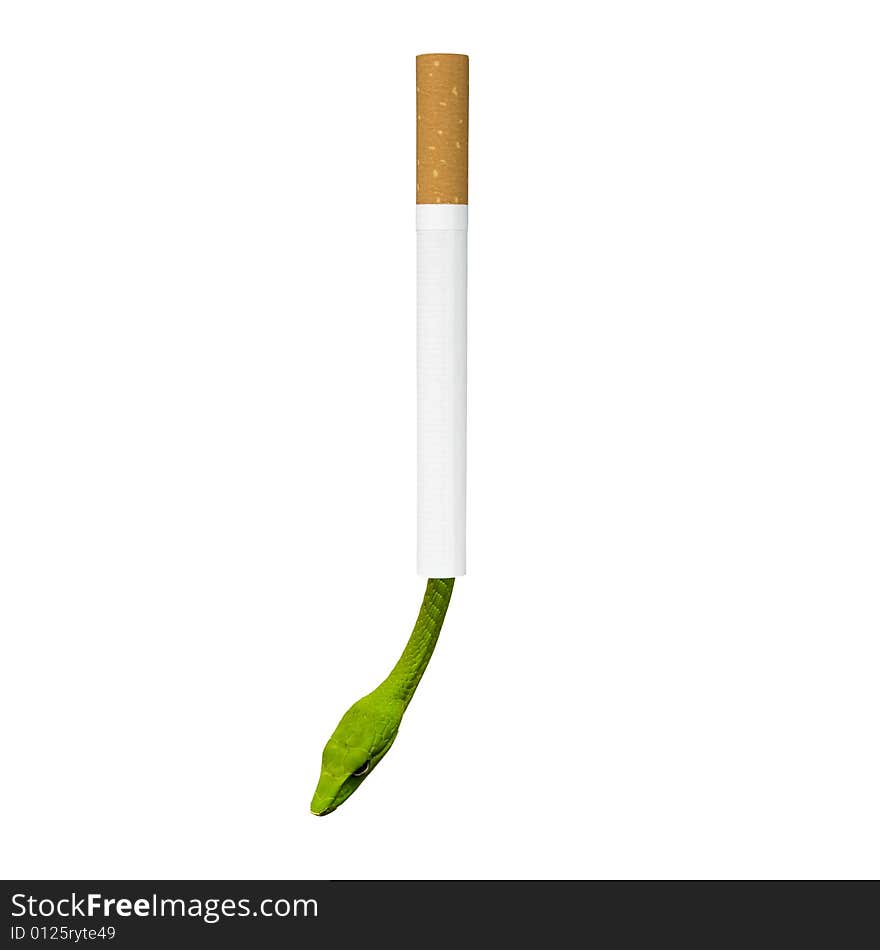 Tobacco is poison like viper. Tobacco is poison like viper
