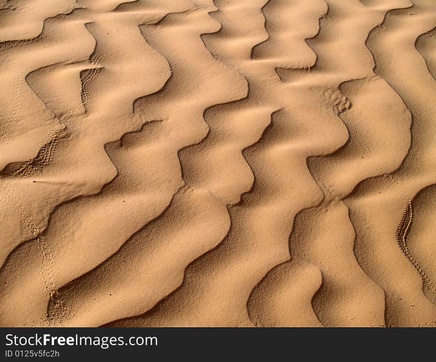 Sund dunes in Sahara desert.