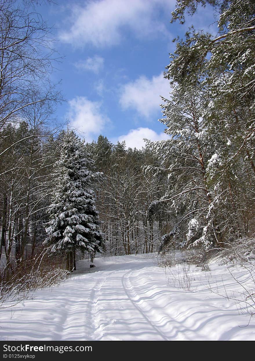 Winter Road