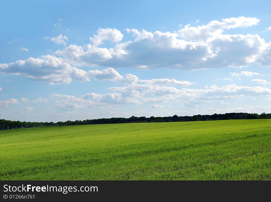 Green field