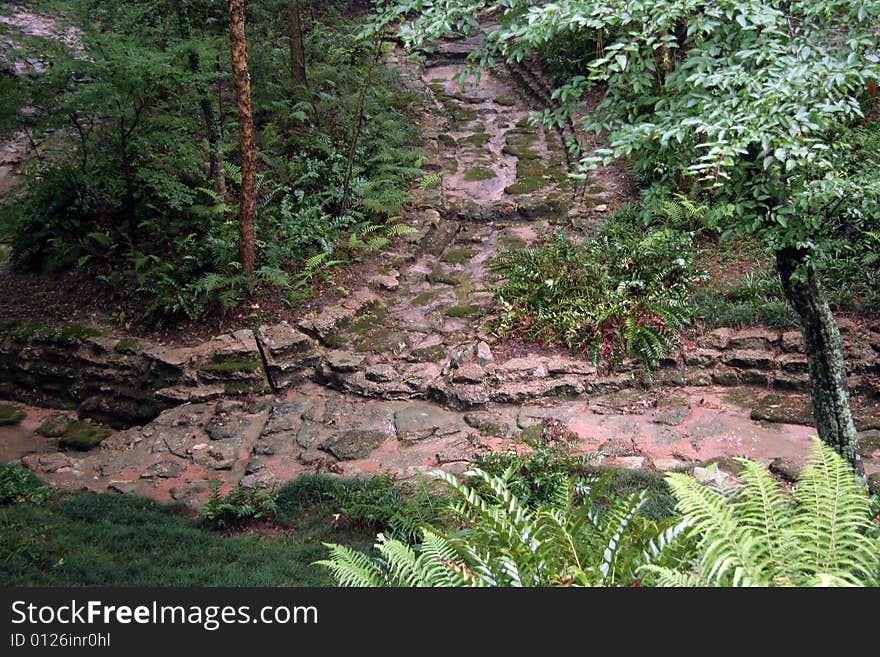 A stone pathway going into the forest