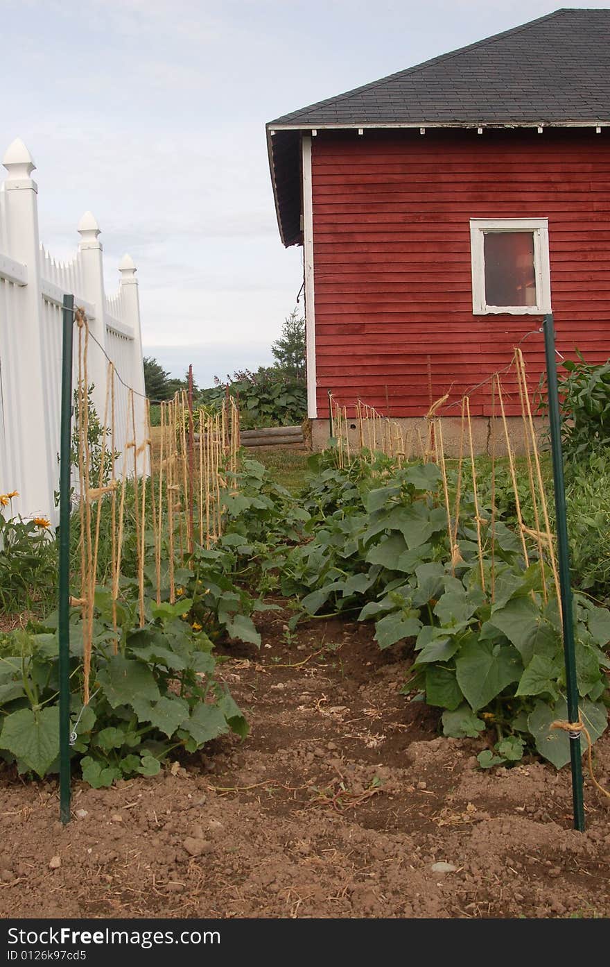 Country garden.