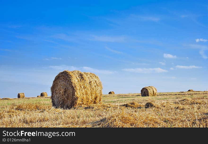 Haystack. Summer harvesting. Seasons specific