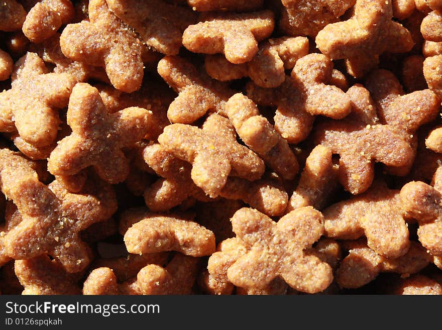 Closeup of dry cat food