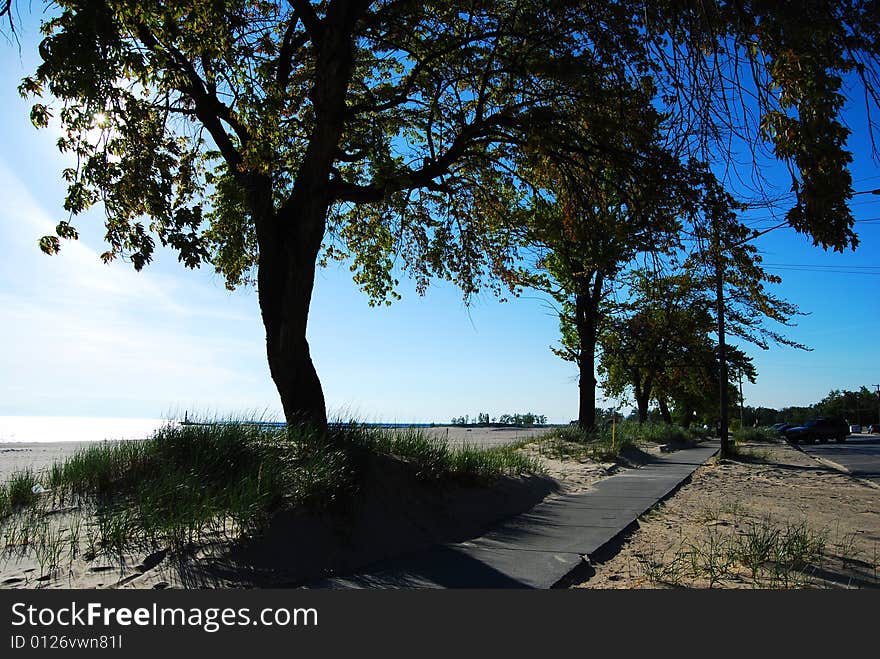 This tree casts a moving shadow along the sidewalk on the Lake Michigan shore. This tree casts a moving shadow along the sidewalk on the Lake Michigan shore.