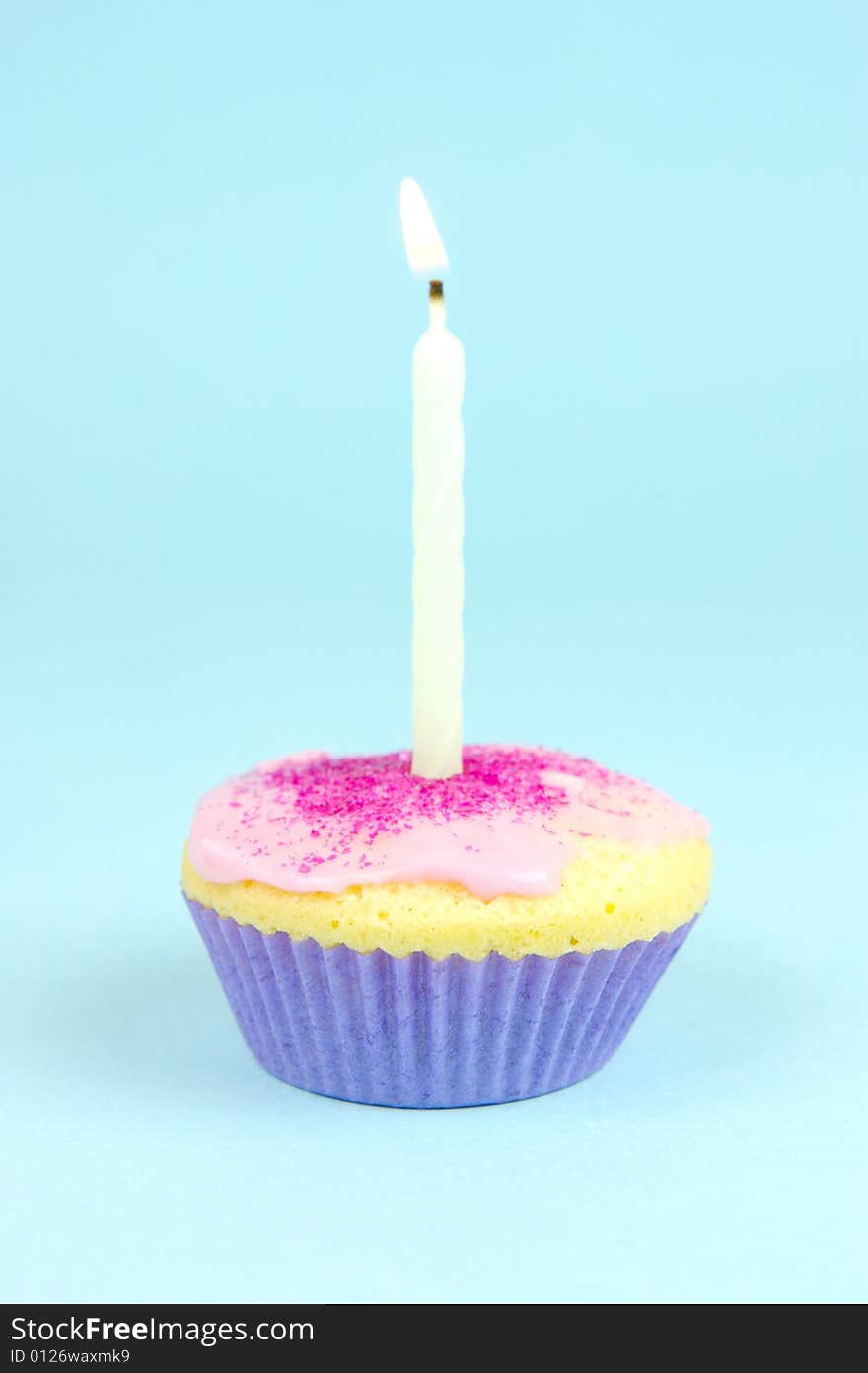 Cup cakes isolated against a blue background