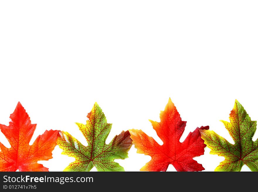 A border of silk leaves for autumn. Isolated on a white background. A border of silk leaves for autumn. Isolated on a white background.