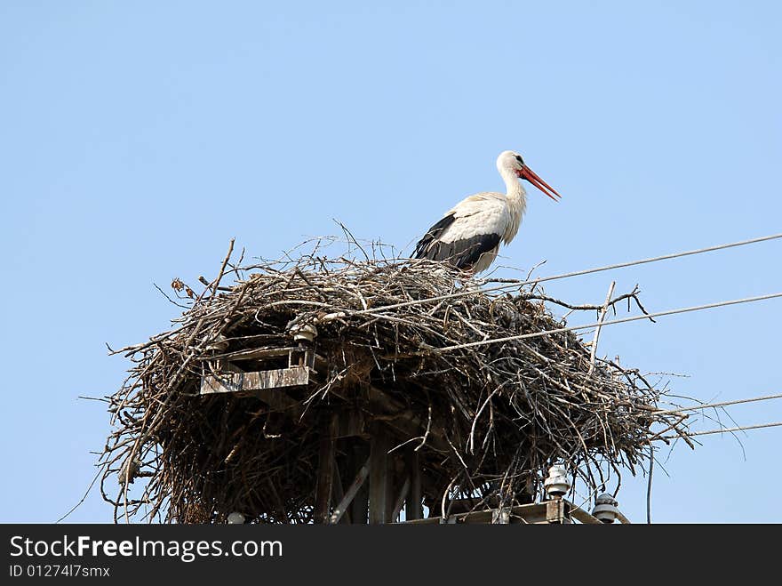 Stork In Nest, Branch Made