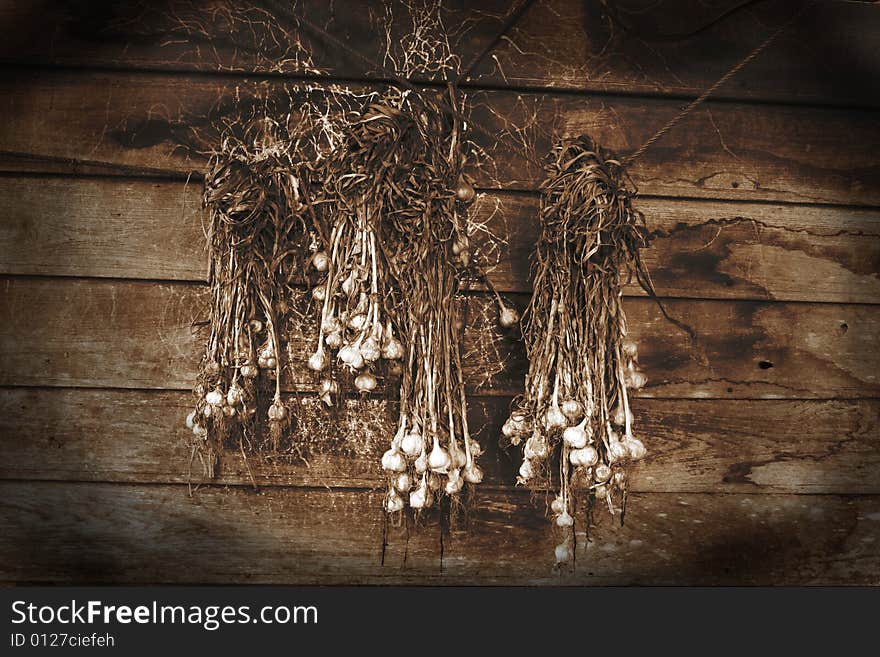 Group garlic on old wood wall.