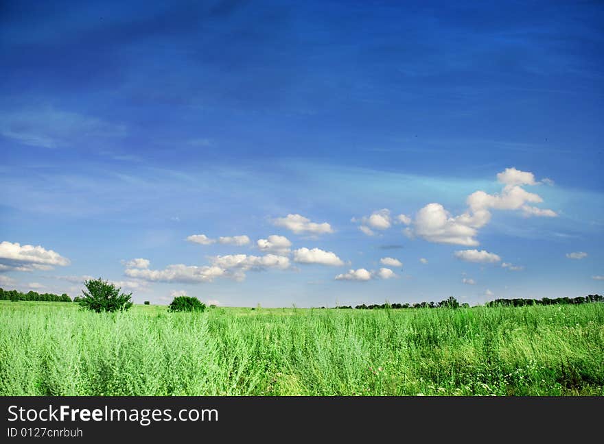 Meadows And Sky