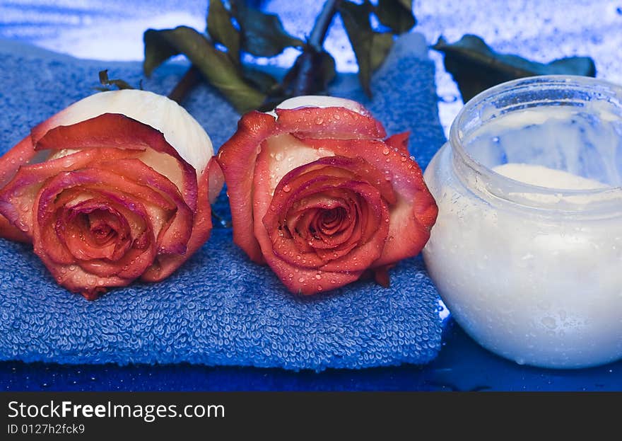 Cream, towel with rose on blue background