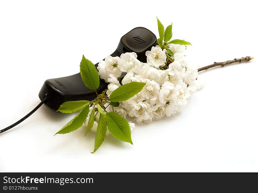 Cherry Flowers And Telephone Handset