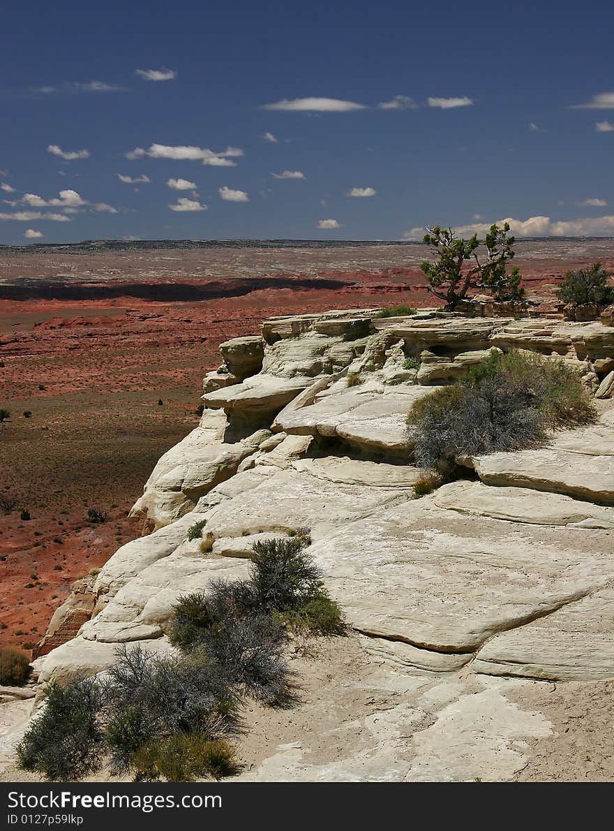 It is photographed on road from Bryce canyon to Arches canyon. Utah. USA. It is photographed on road from Bryce canyon to Arches canyon. Utah. USA