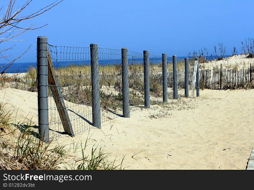 Fence on Beach