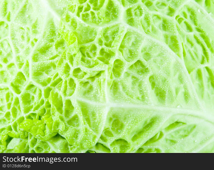 Texture of a piece of green cabbage with droplets of water. Texture of a piece of green cabbage with droplets of water