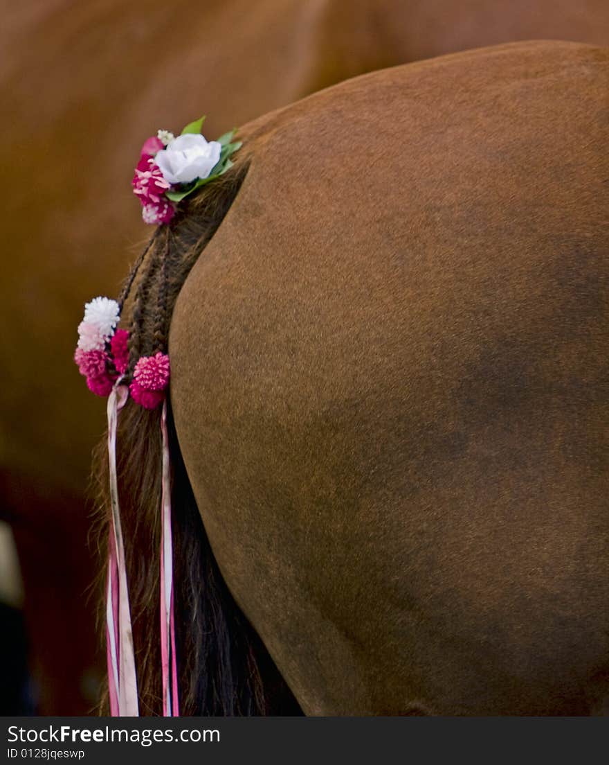 The tail of a farm horse during a tilting competition. The tail of a farm horse during a tilting competition.