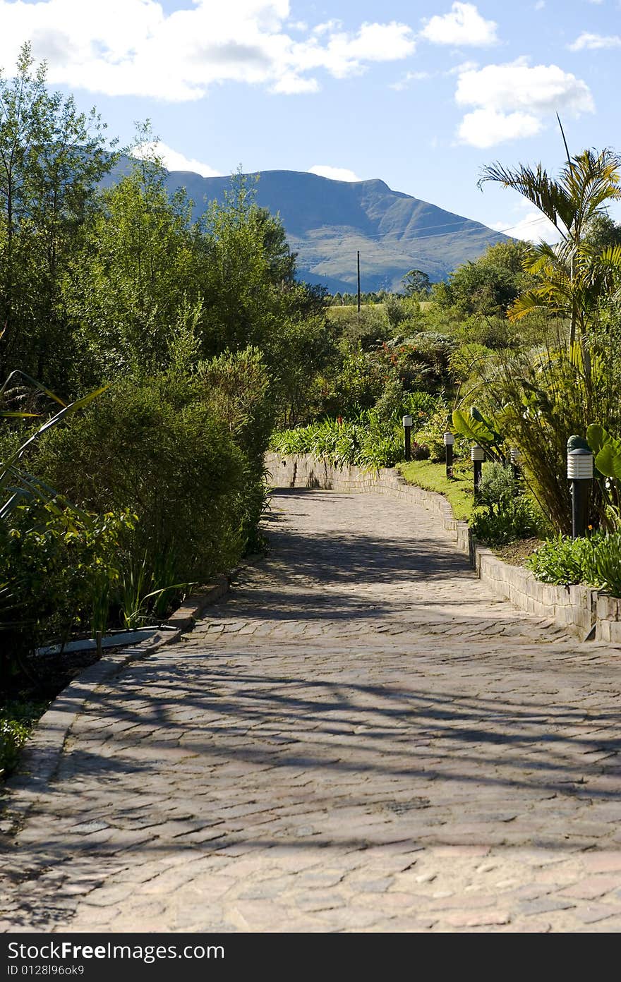 Brick walkway through a garden