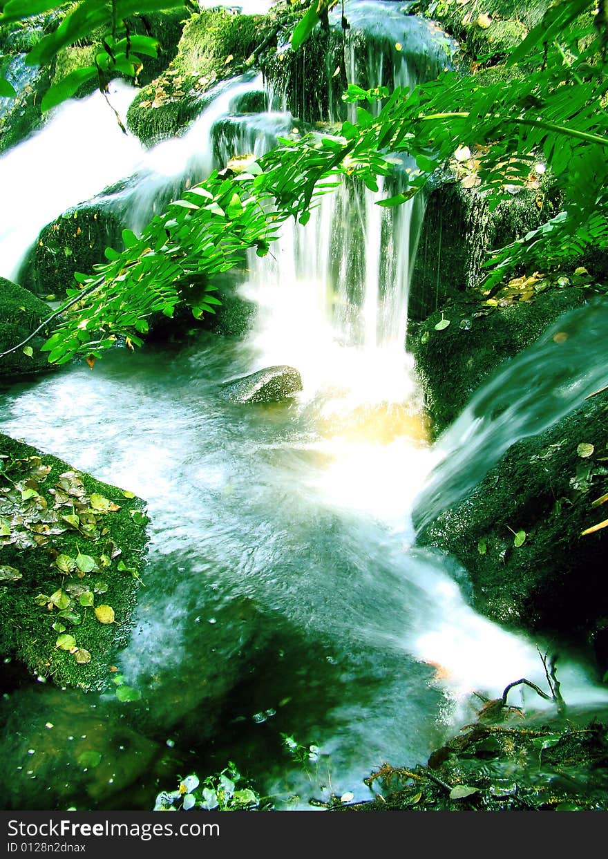 Stream waterfall in green forest