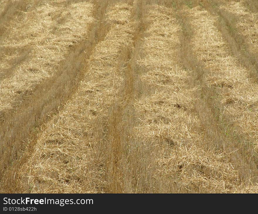 Harvest