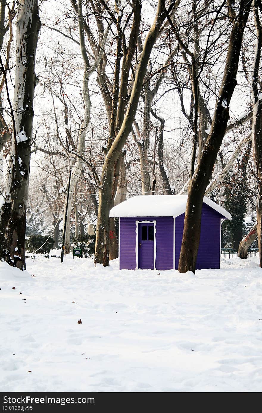 A little hut in the forest. A little hut in the forest