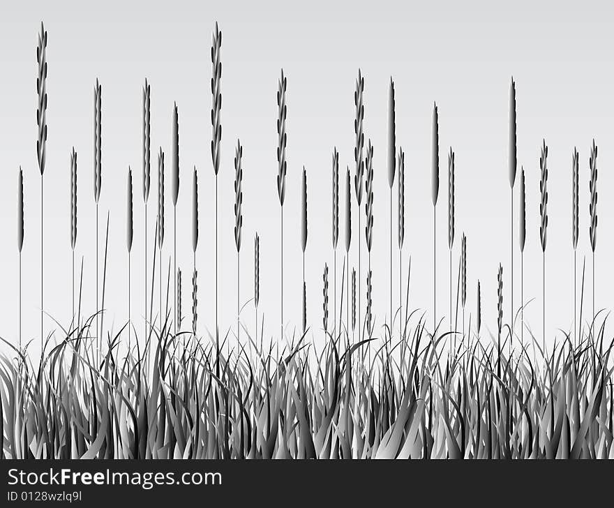 Illustration of grass, black, gray